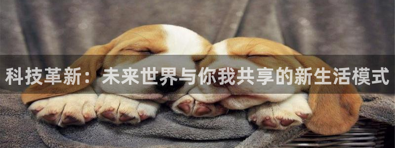 金年会手机版·(中国)官方网站-app下载