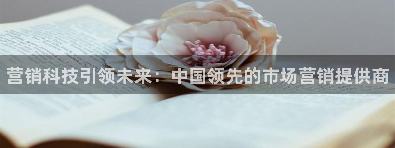 金年会APP官方网站