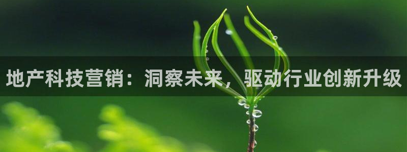 金年会官方新入口