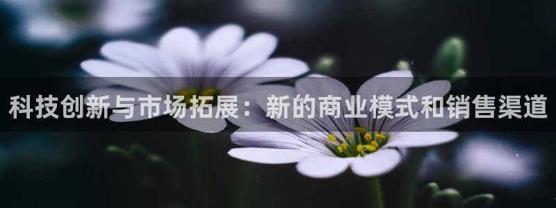 金年会金字招牌入口：
