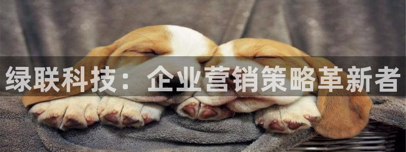 金年会网址有吗
