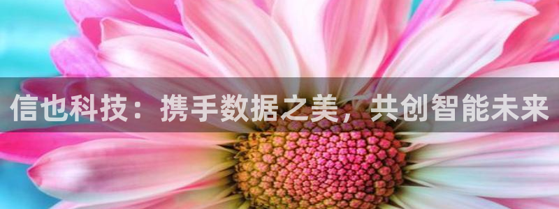 金年会体育app最新官网