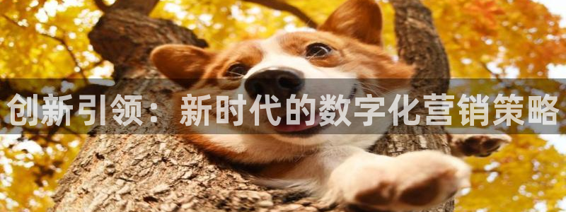 金年会pg官网