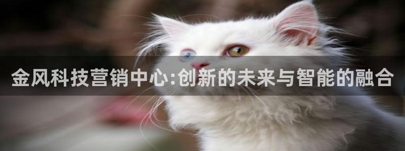 金年会体育app下载官网安卓版