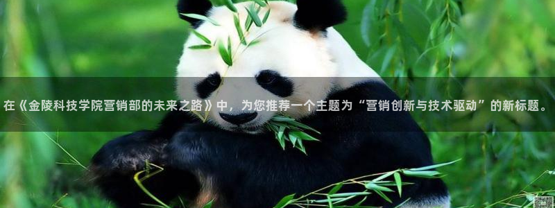 金年会网页版登陆