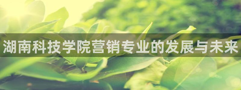 金年会官方体育登陆入口
