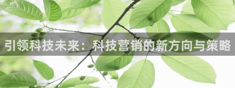 金年会体育平台怎么样