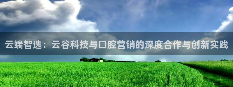 金年会体育app最新官网