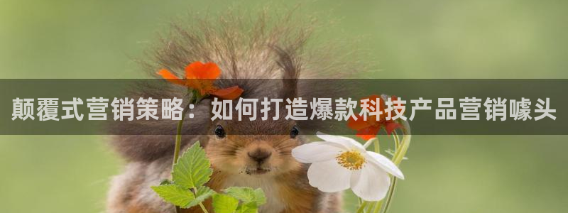 金年会