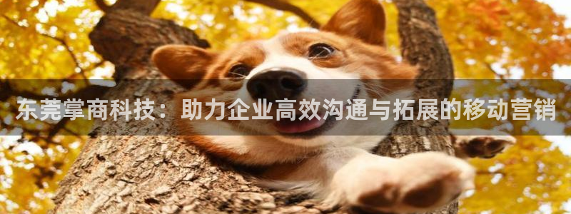 金年会手机版·(中国)官方网站-app下载