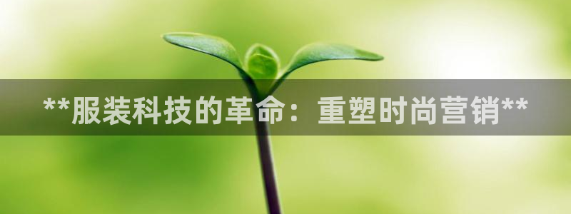 金年会官方登录入口手机版