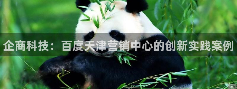 金年会vip网页版在线登录入口官网