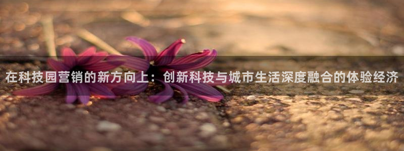 金年会app下载官网登录不了