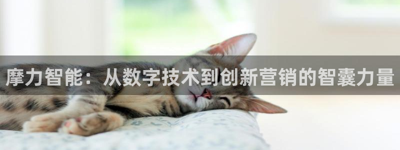 金年会官方网站登录