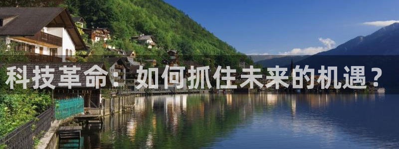 金年会网登录平台入口