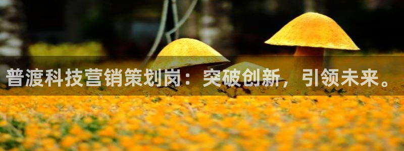 金年会会员登录页面图片