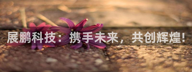 金年会体育官网登录入口下载