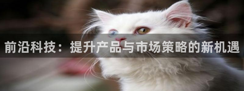 金年会金字招牌登录入口评测