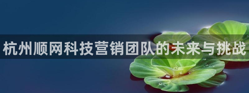 金年会官方入口登录