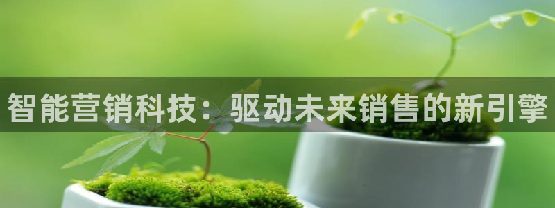 金年会vip网页版在线登录入口官网