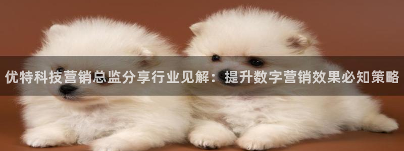 金年会体育电子登录入口