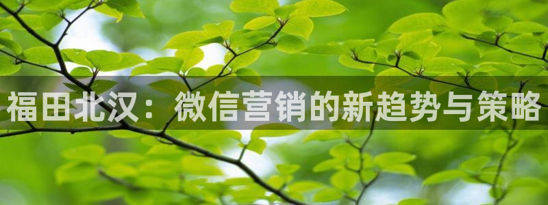 金年会官方网站入口登录