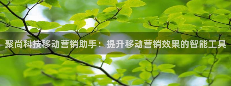 金年会平台官网登录