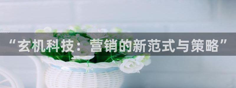 金年会官方网站登录网址