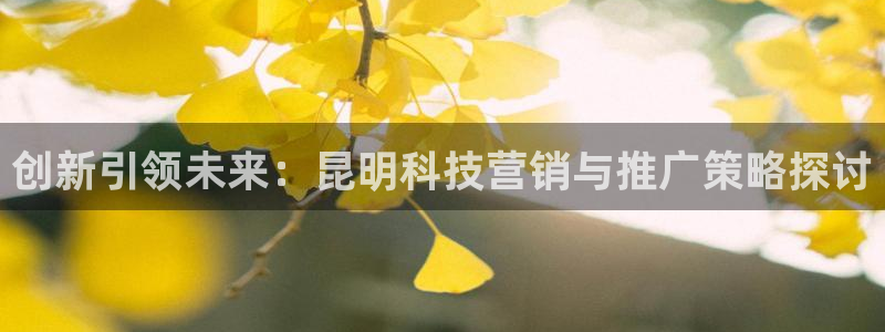 金年会电子游戏app