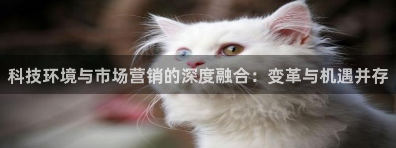 金年会体育官网是多少