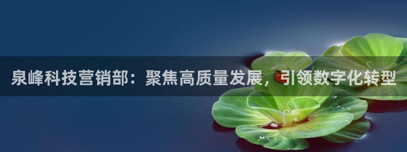 金年会app官方网站